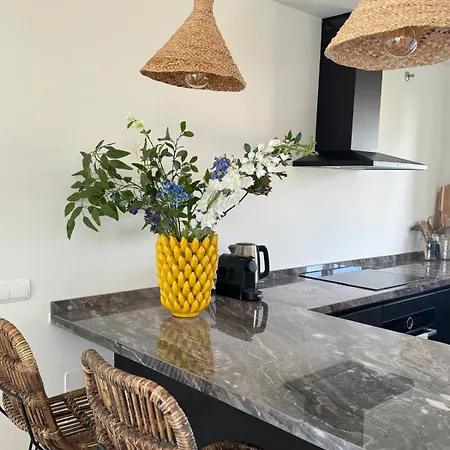 Dalia - Gerenoveerd Direct Aan Zee Εστεπόνα
